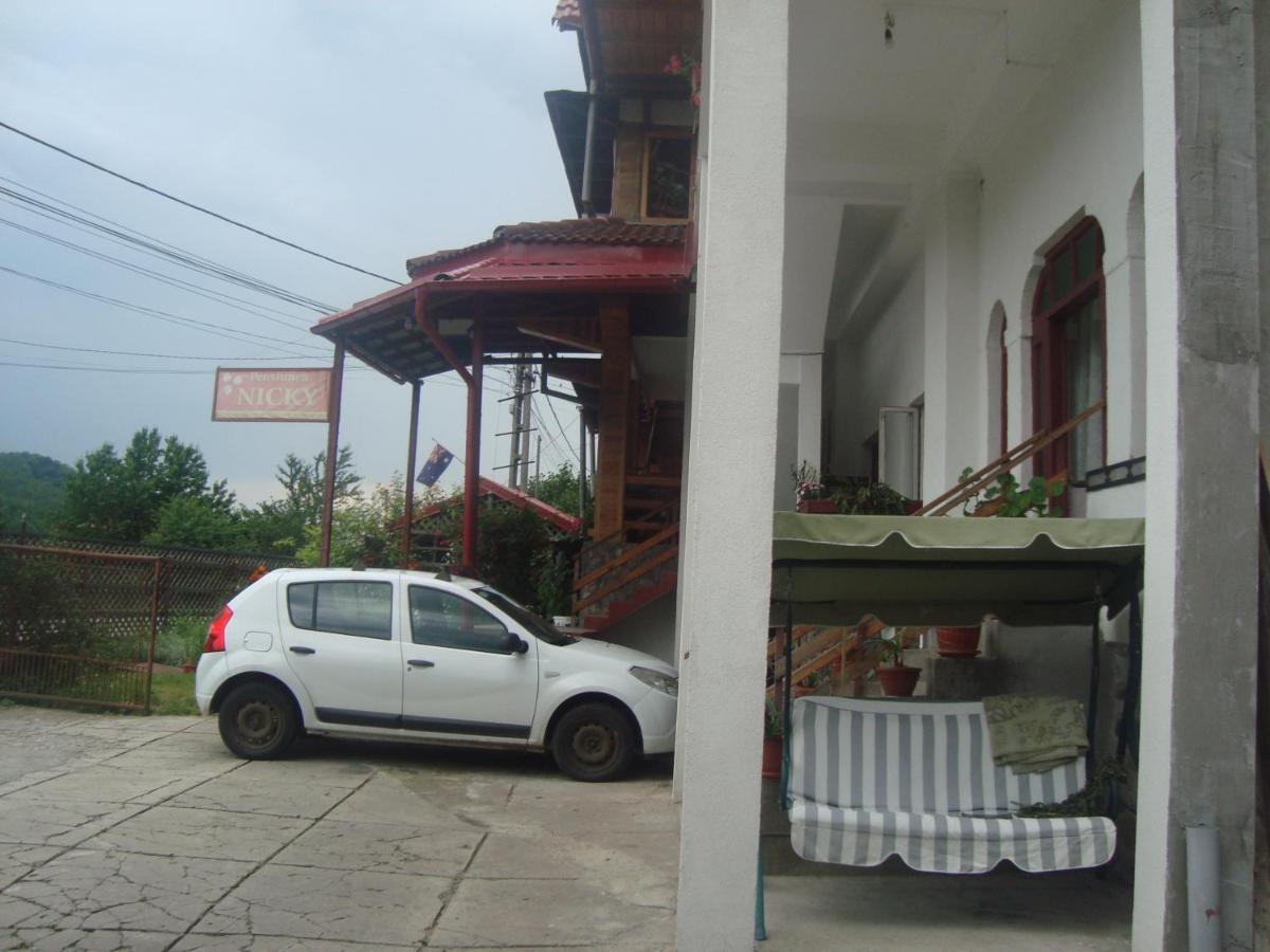 Pensiunea Nicky Oestii Ungureni Exterior photo