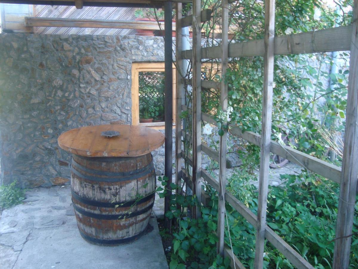 Pensiunea Nicky Oestii Ungureni Exterior photo